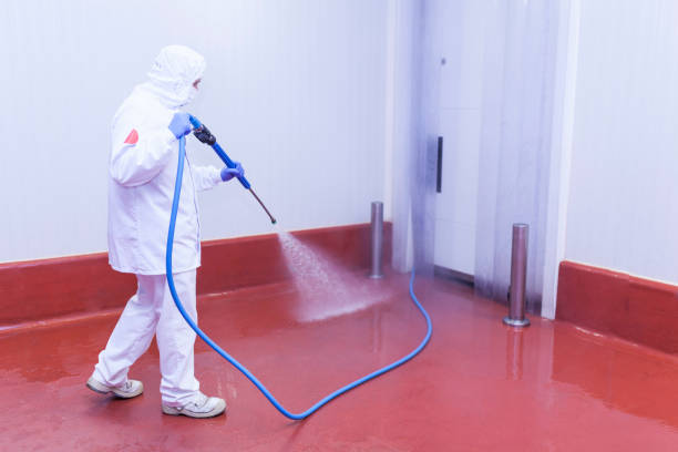 Best Soft Washing for Delicate Surfaces in Ricardo, TX